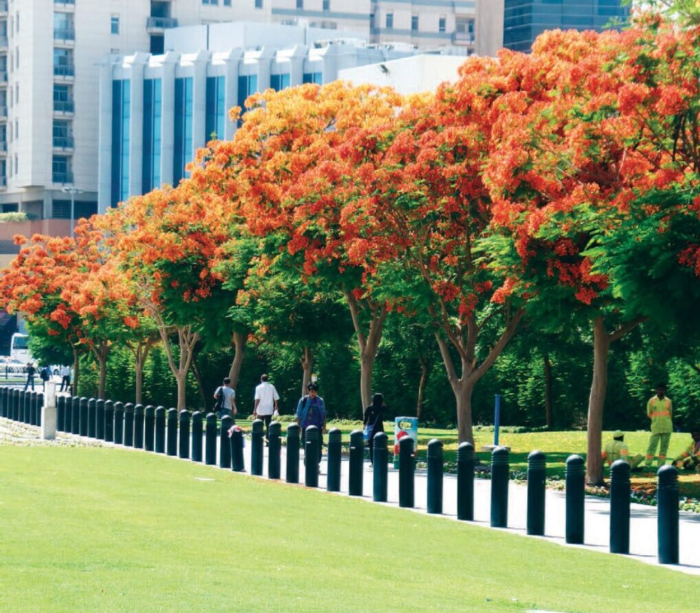 زراعة الأشجار ضمن أعمال لاندسكيب احترافية – كوفان