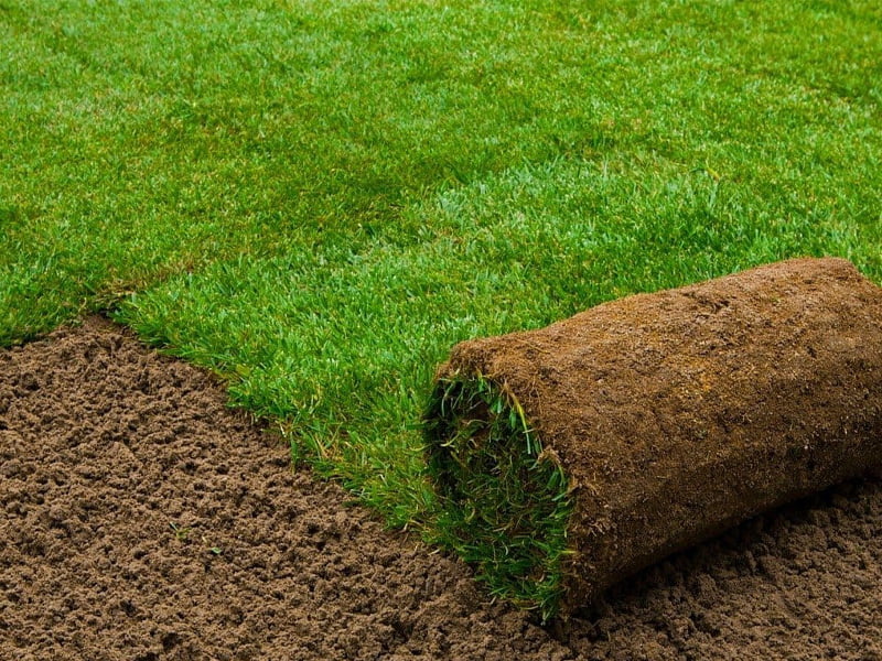 زراعة وتركيب العشب الطبيعي – كوفان لاندسكيب